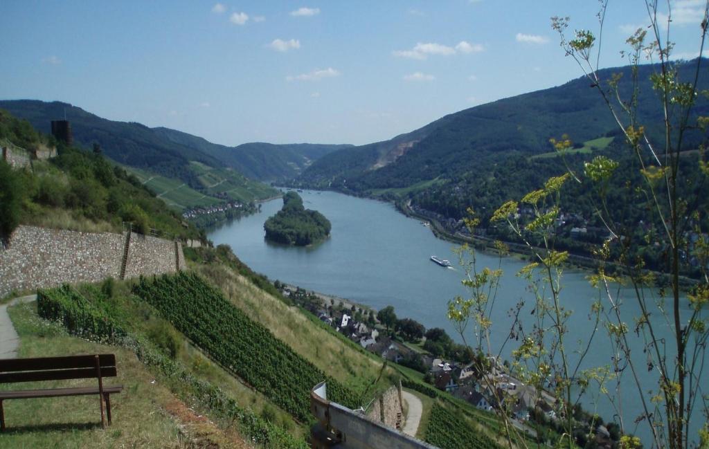 Апартаменты Weingut Theodor Nies Лорх Экстерьер фото